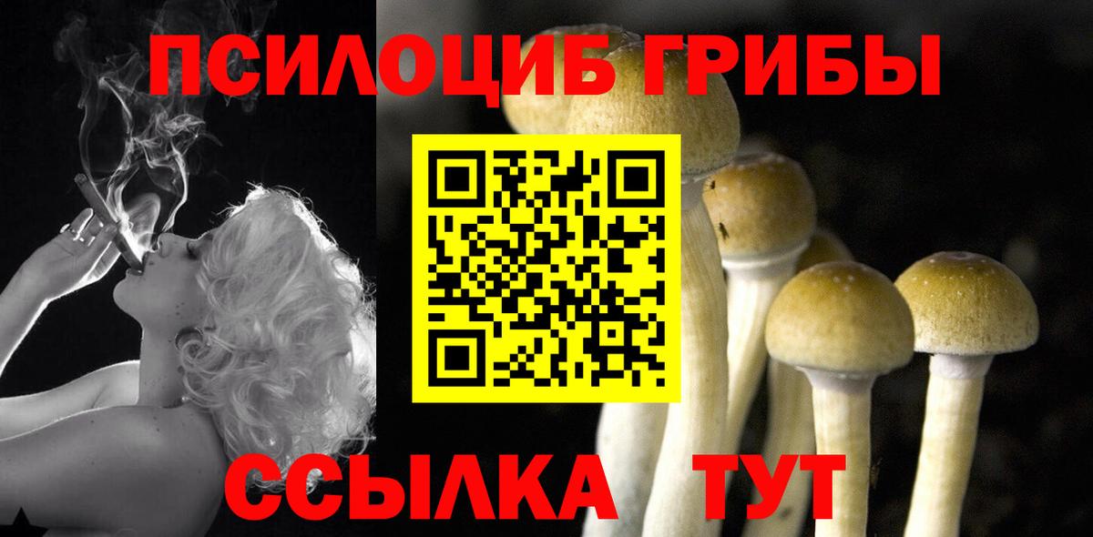 Елабуга  Галлюциногенные грибы ЛСД  Вход с VPN 