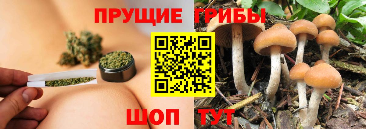 Псилоцибиновые грибы ЛСД Елабуга