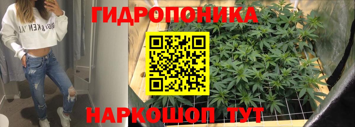 Конопля сатива Елабуга